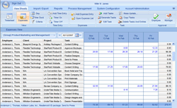 Expense tracking for employee expense entry